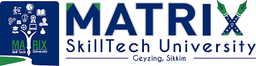 Matrix SkillTech University logo